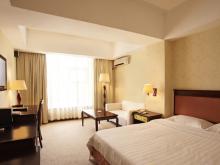 Business Single Room