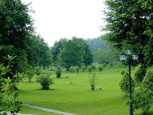 Daifushan Forest Park